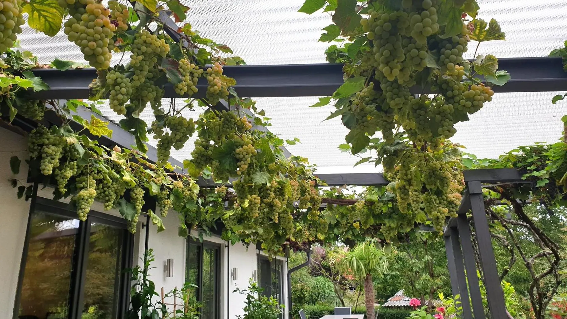 Bluetenlodge Bodensee Bodolz Ferienhaus