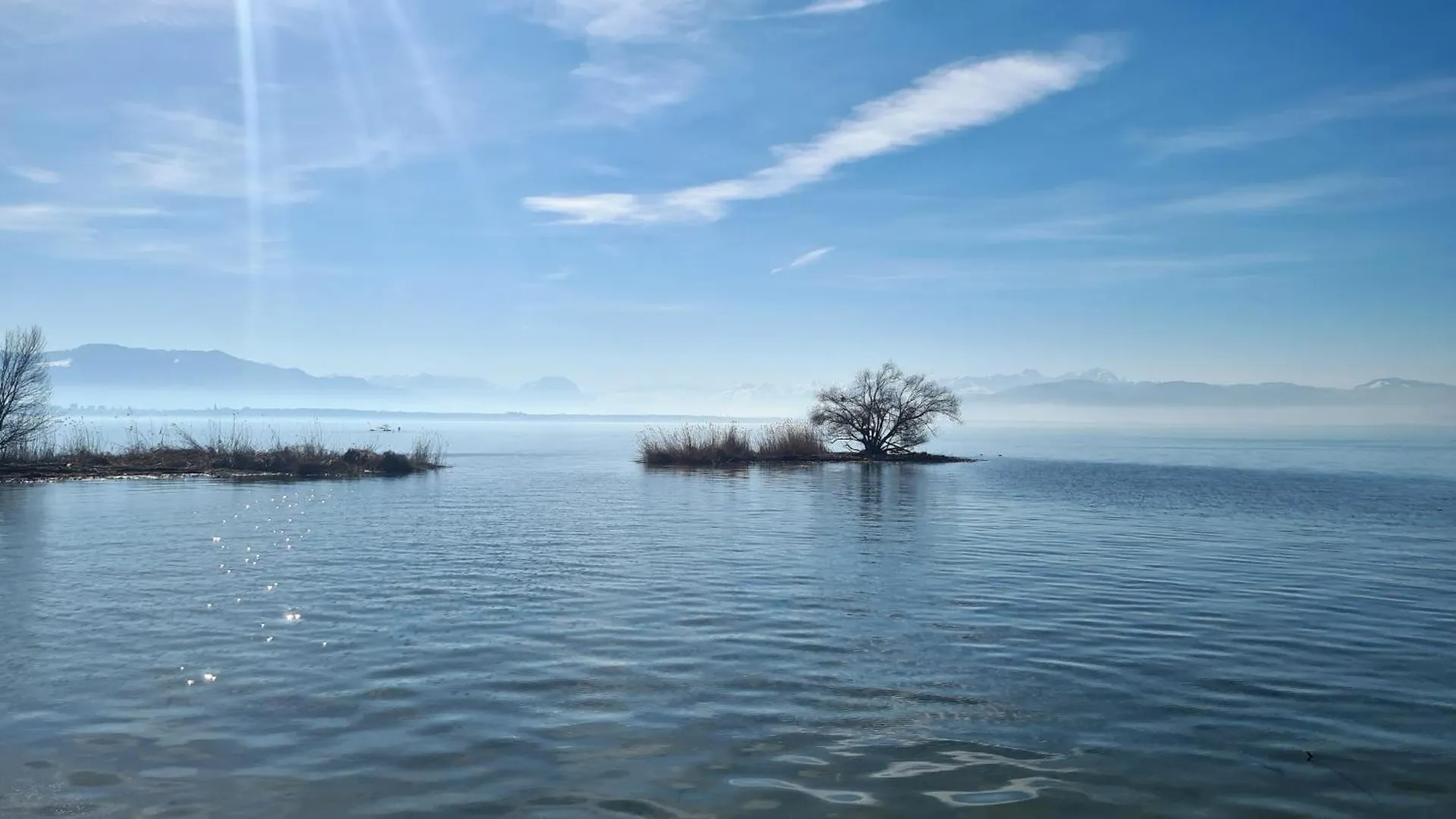 Bluetenlodge Bodensee Bodolz
