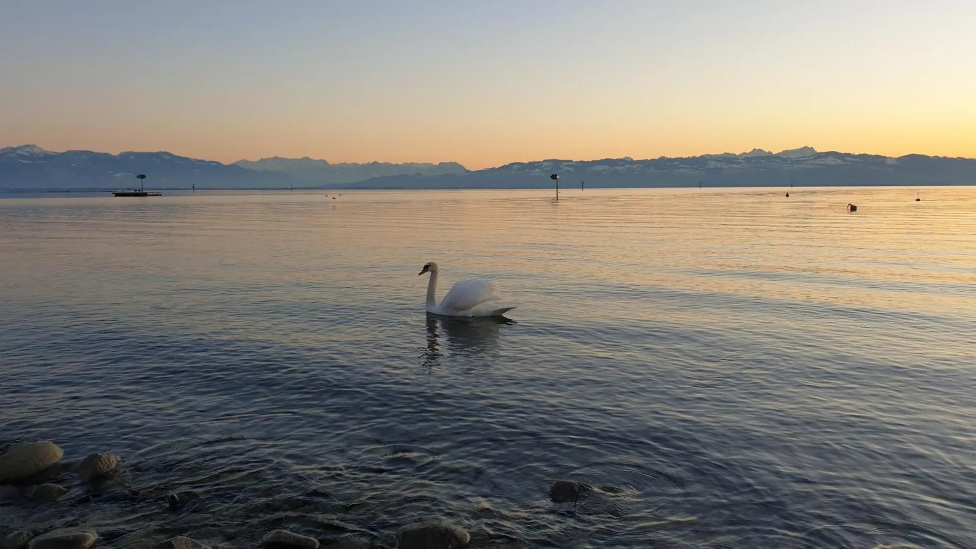 Bluetenlodge Bodensee Bodolz Ferienhaus