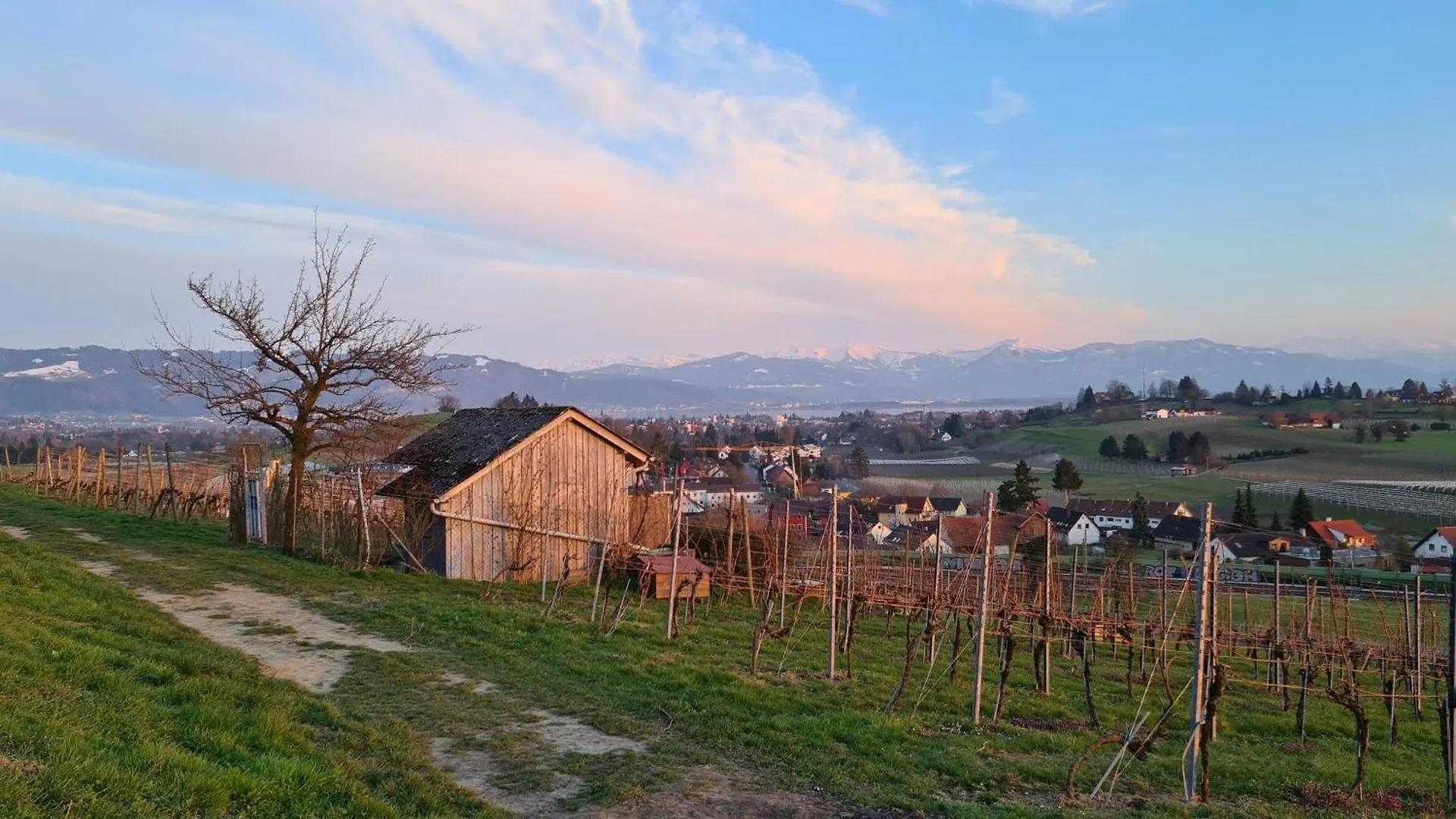 Ferienhaus Bluetenlodge Bodensee Bodolz