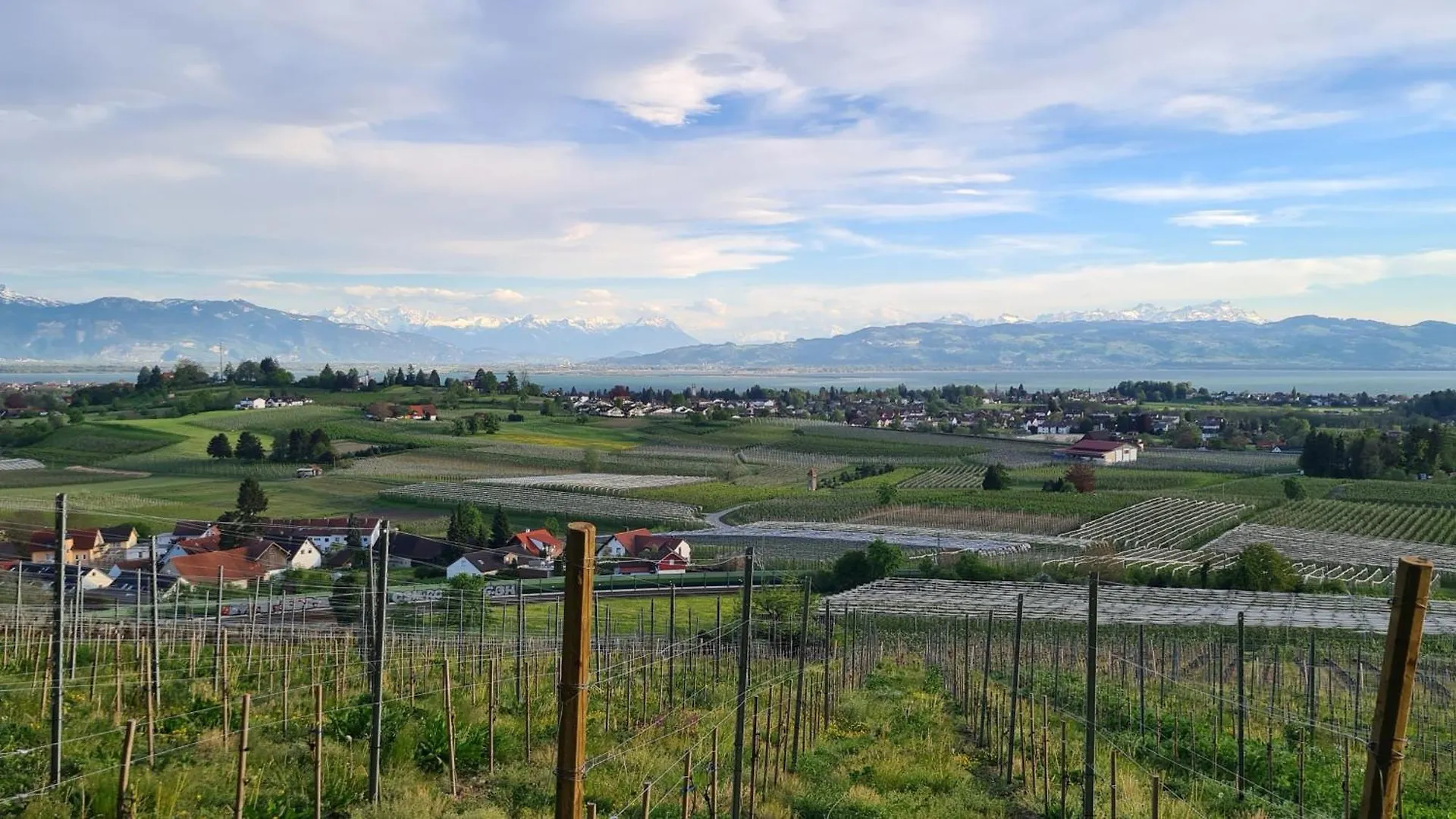 Bluetenlodge Bodensee Bodolz 0*,